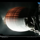 A shot of the secondary booster rocket firing up. (Image: SpaceX)